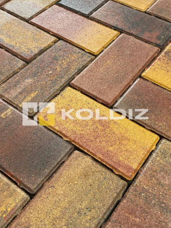Брусчатка Колдиз Прямоугольник 200х100х50 Колор микс